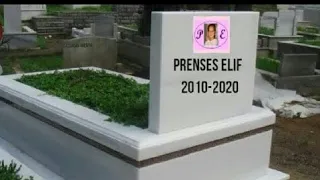 Prenses Elif Öldü! (mizah amaçlıdır)