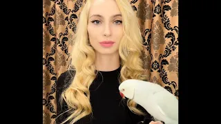 Шкода от попугая 🦜