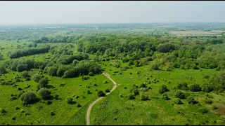 Ellenbrook Fields | Hatfield | Cinematic Video | 1080p