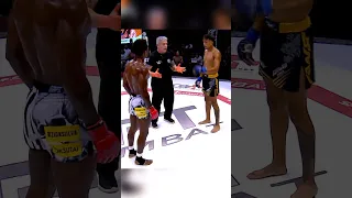 Experiência e Profissionalismo no MMA - Flávio Almendra