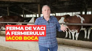 Ferma de vaci  a fermierului Iacob Boca de la Miheșu de Câmpie