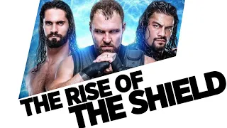 The Rise Of The Shield (2012-2016) | The Best Ever?