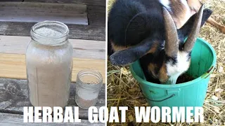 How We Deworm Our Goats | Making an Easy, Natural, Effective Herbal Deworming Blend