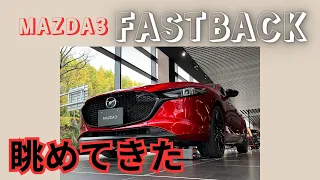 マツダ３ FASTBACK【眺めてきた】