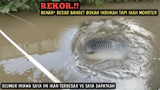 YAKIN KUAT.!! DI KIRA IKAN TAWES MONSTER || MANCING IKAN TERBESAR DI BENDUNGAN SAMPAI KOCAR KACIR😱