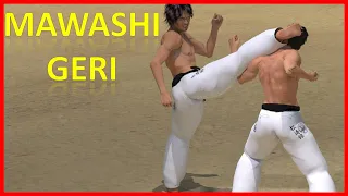 MAWASHI GERI PATADA CIRCULAR Y FUNDAMENTAL EN KARATE