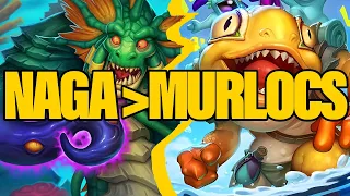 Beating All the Murloc Players With Nagas | Dogdog Hearthstone Battlegrounds