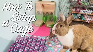 How To Set Up A Rabbit Cage!