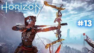 БЕГЕМОТ И ПРЕДЕЛ МАСТЕРА - Horizon Zero Dawn: Complete Edition #13