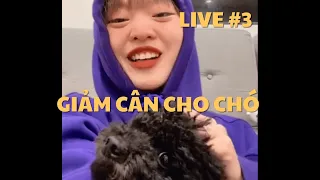 LIVE #3: GIẢM CÂN CHO CHÓ 🐶 | duongfynn