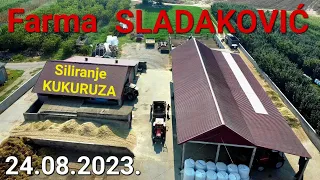 Siliranje Kukuruza na Farmi Sladakovic | CLAAS JAGUAR 690 SL | BASAK 2110S | ArmaTrac 604E | IMT 577