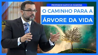 O Caminho para a ÁRVORE DA VIDA - Parashá BERESHIT 2021/5782 - Matheus Zandona