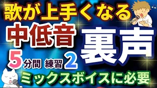 ミックスボイスに必要な低音裏声の練習その2、歌も上手くなります！