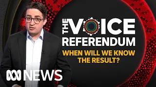 How will we know if the Referendum passes or is defeated? | ABC News