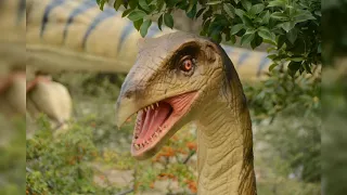 В Ялте в Никитском ботаническом саду открылся музей живых динозавров