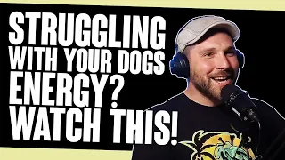 The Davidthedogtrainer Podcast 114 - Struggling With Your Dogs ENERGY? WATCH THIS!