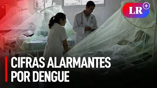 Epidemia de dengue en el Perú: más de 100 mil infectados