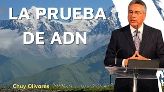 ThingsToLearn  La prueba de ADN  Chuy Olivares 2024