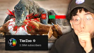 THE LIZARD TIER LIST IS INSANE!💀| TierZoo Reaction!