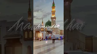 Humne aankhon se dekha nahi hai magar unki tasweer sine main maujood hai //Jummah special