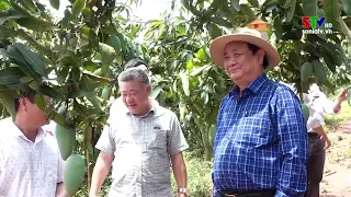 Bộ trưởng bộ nông nghiệp thăm quan mô hình trồng xoài tại HTX Đồng Tâm xã Sặp Vạt
