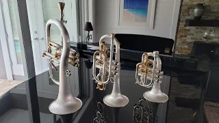 CarolBrass® Flugelhorn, Cornet & Pocket Trumpet Demo