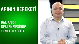 Arının Bereketi | Bal Arısı Beslenmesinde Temel İlkeler