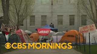 Protests continue on college campuses across the country over war in Gaza