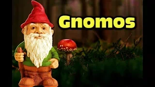 Gnomes