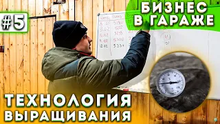 #5 Выращивание Шампиньонов | Проверяю камеру | Бизнес В Гараже