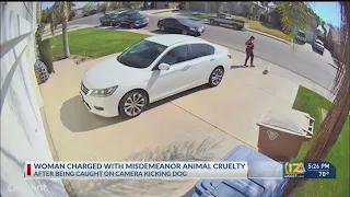 Woman caught kicking dog charged with animal cruelty