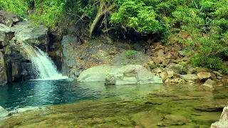リラックスできる音。 【自然環境音】美しい自然の水の風景 最高の癒しの場所