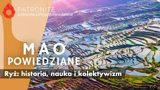 Mao Powiedziane #93 – Ryż w Chinach: historia, nauka i kolektywizm