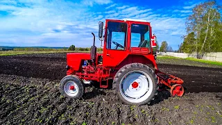 Т-25 с плугом и окучником. Вспашка поля под посадку картофеля. Нарезаю борозды культиватором от МТЗ.