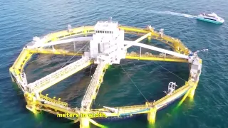 20 Most Amazing Floating Fish Farms That Actually Exist Part 1