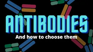 How to choose flow cytometry antibodies