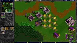 Warcraft 2 31.5.2024