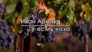 Я есмь лоза - Иван Арнаут