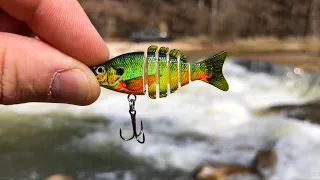 The SMALLEST Swimbait in The WORLD!!! (Tiny Lure CHALLENGE!)