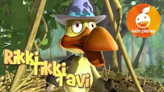 RIKKI TIKKI TAVI Episode 6 | cartoons for kids | stories for children | Jungle book by R. Kipling