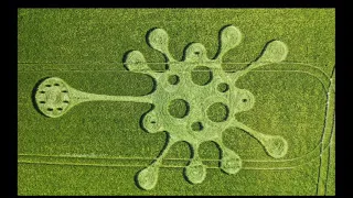 New crop circles u k 2020