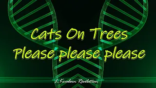 Cats On Trees - Please please please | HD (sous-titres paroles/lyrics)