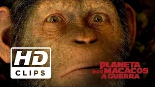 Planeta dos Macacos: A Guerra | Trailer Final Amanhã | Legendado HD