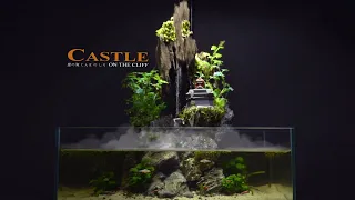 Use Stone and Driftwood to make Castle Aquaterrarium  l  EASY TO DO