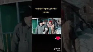 Анекдот про шубу из норки.