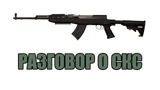 Разговор о СКС