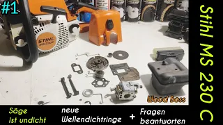 #1 Stihl MS 230 C Wellendichtringe wechseln + einige Fragen beantworten #WoodBoss #STIHL