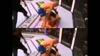 T.J. Dillashaw vs Renan Barao - UFC 173