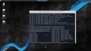 Как настроить анонимный VPN на BackBox Linux используя сайт https://anonymous-vpn.biz/ru/ и Терминал