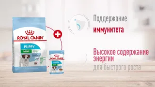 Сухой корм Royal Canin Mini Puppy для щенков мелких пород